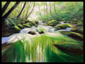 Rushing Stream 1